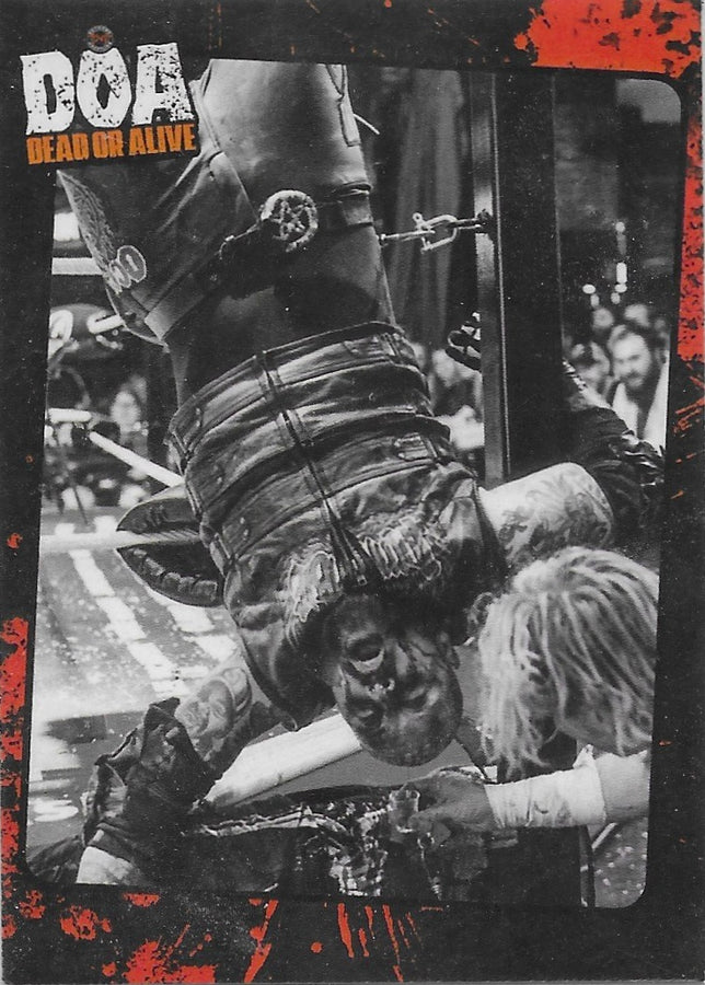 DOA Dead or Alive Ring Action