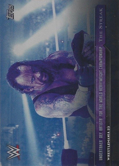 Wrestlemania 23 – Undertaker DEF. Batista for the World Heavyweight Championship
