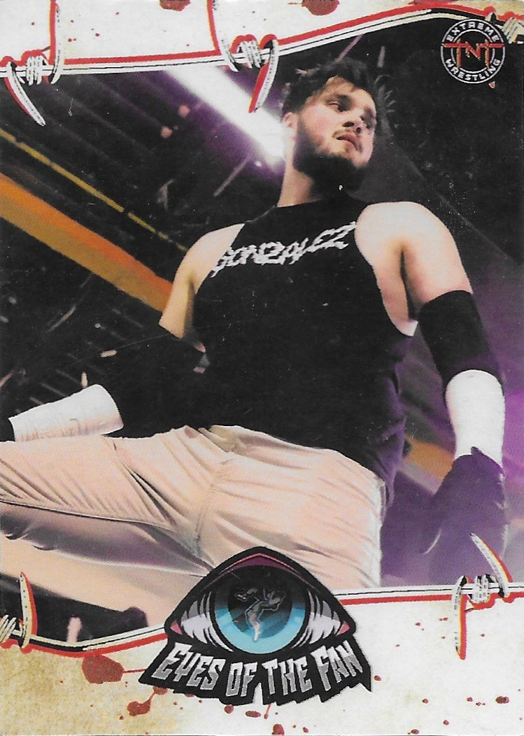 Eyes of the Fan trading card PW Catalog