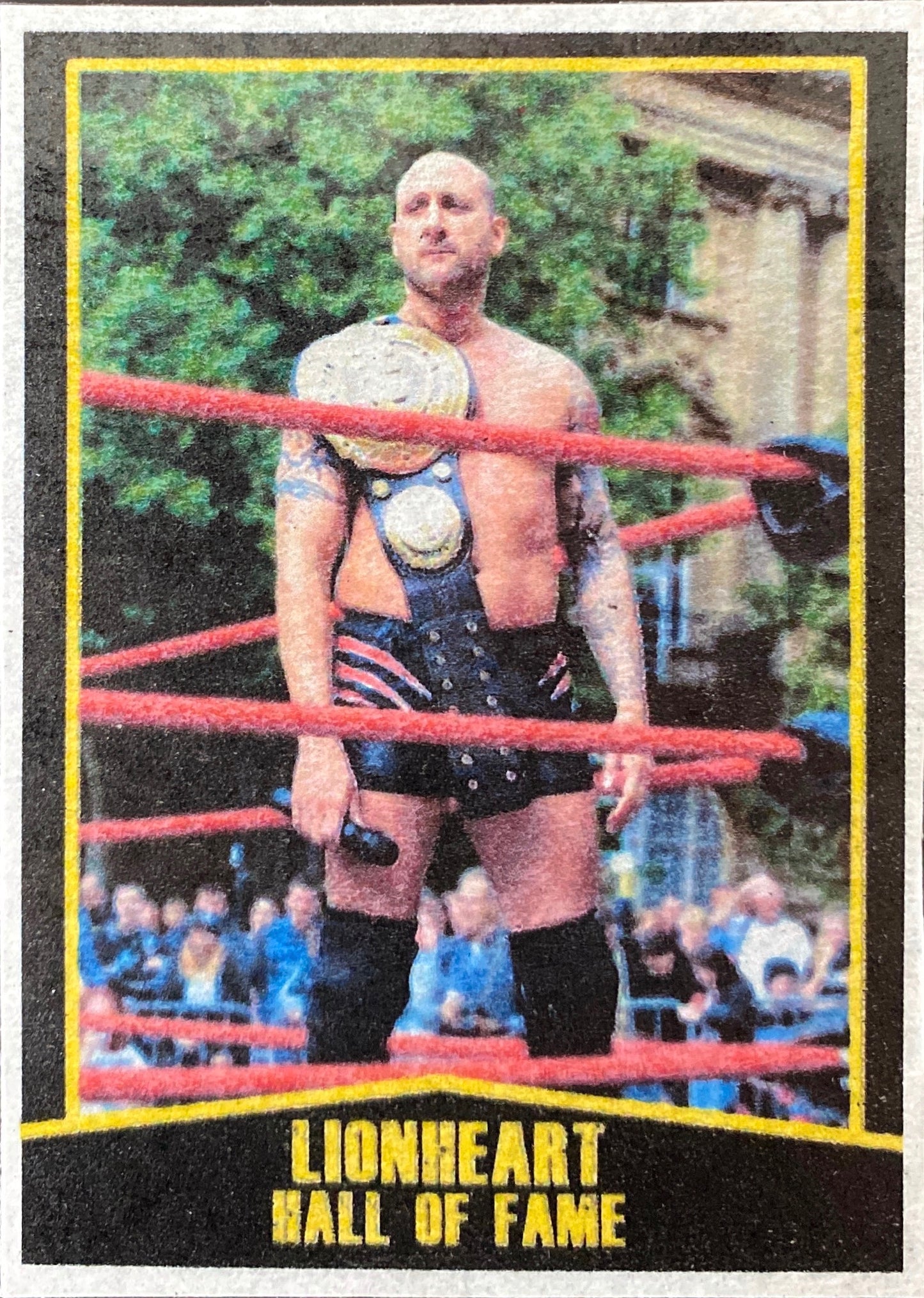 Hall of Fame – Lionheart trading card PW Catalog