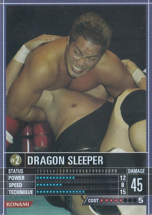 Dragon Sleeper