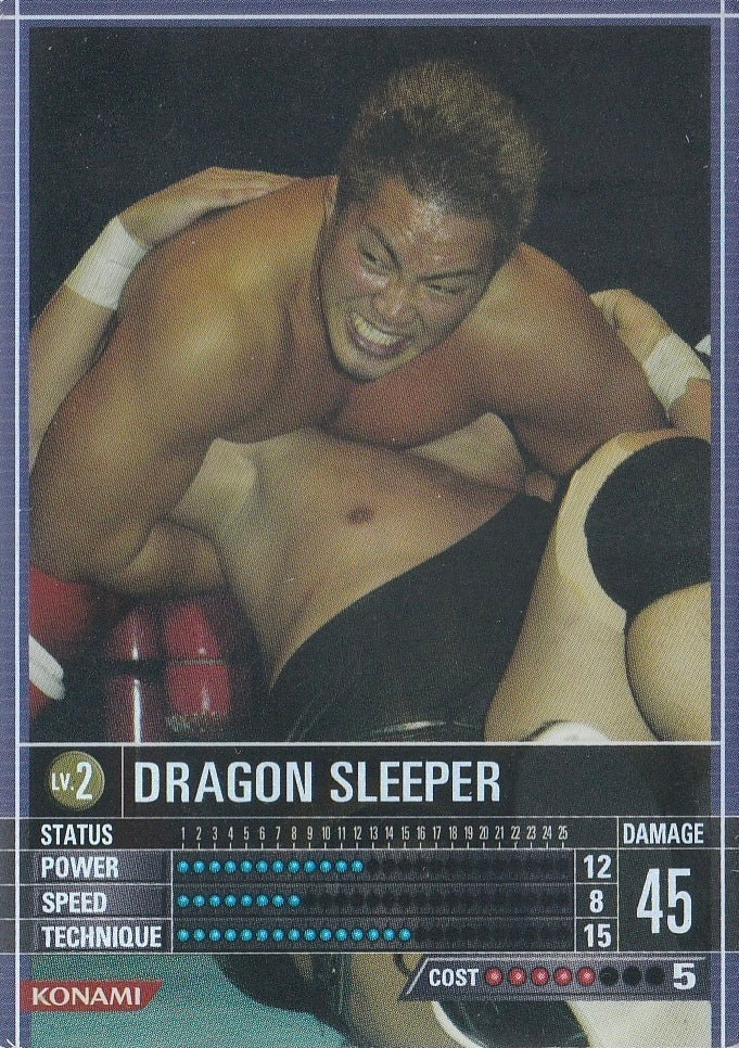 Dragon Sleeper