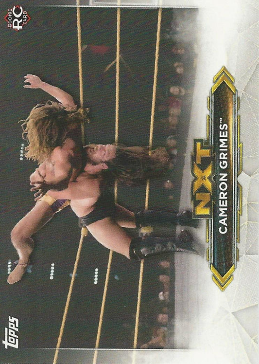 WWE Topps NXT 2020 Cameron Grimes NXT-9 trading card PW Catalog