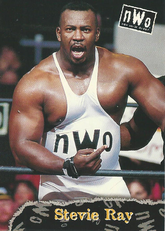 WCW/NWO Topps 1998 Stevie Ray #34