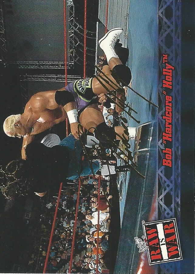 WWF Fleer Raw 2001 Hardcore Holly #34