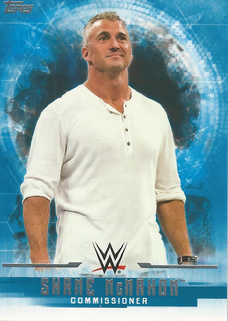 WWE Topps Undisputed 2017 Shane McMahon #34