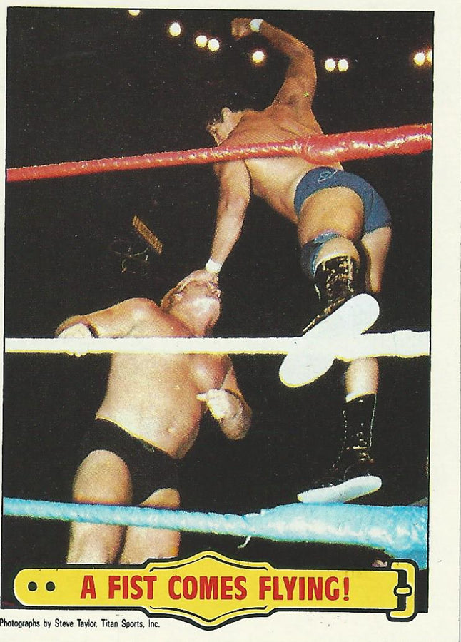 WWF Topps Wrestling Cards 1985 Tito Santana No.34 PWcatalog