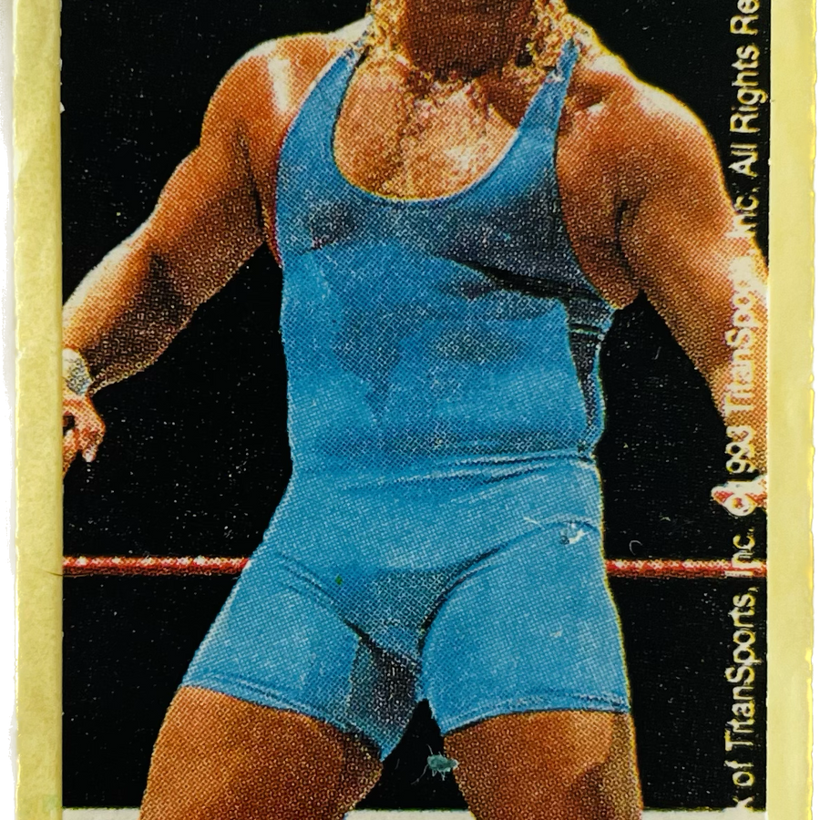 WWF Dunkin Bubble Gum Stickers (1993) No. 34 Mr. Perfect PW Catalog