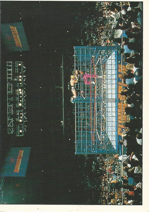 WWF Panini 1995 Sticker Collection Bret Hart #34