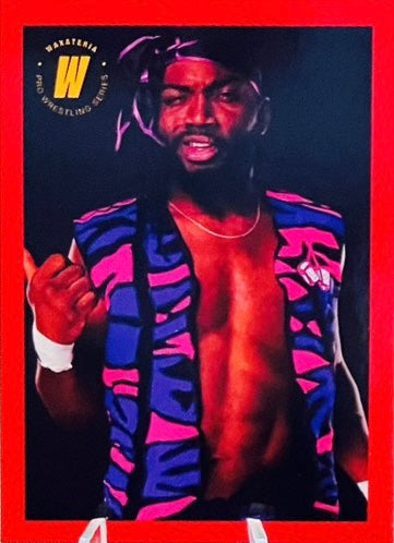 Lucky ALI trading card PW Catalog