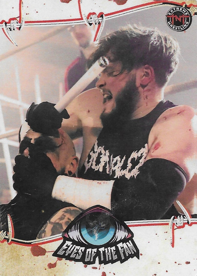 Eyes of the Fan trading card PW Catalog