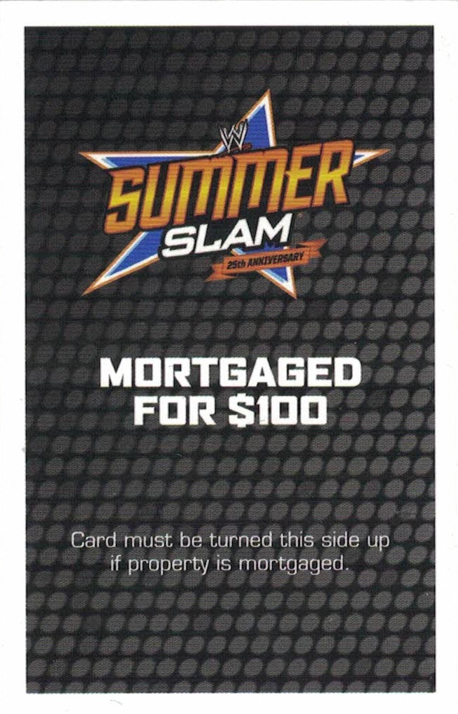 Summerslam 25th Anniversary