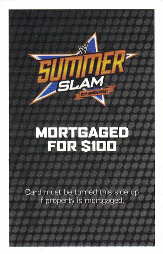 Summerslam 25th Anniversary trading card PW Catalog