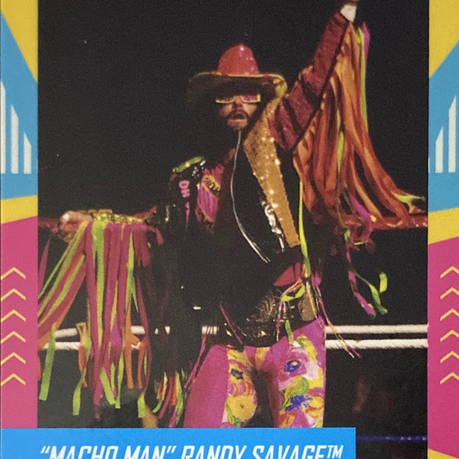 SummerSlam ’92 – “Macho Man” Randy Savage vs. Ultimate Warrior