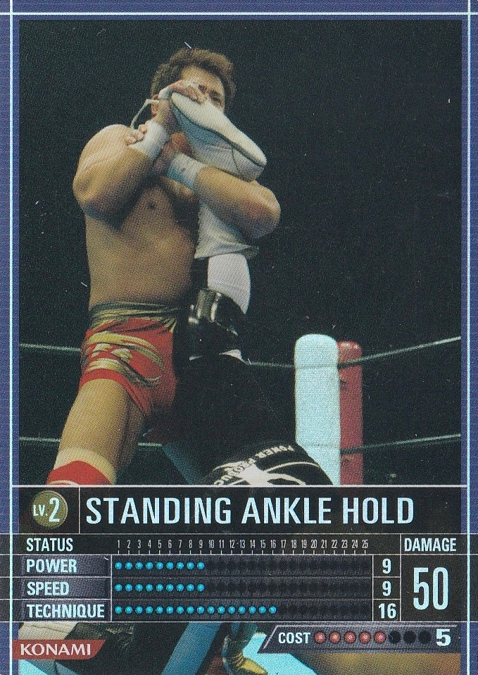 Standing Ankle Hold