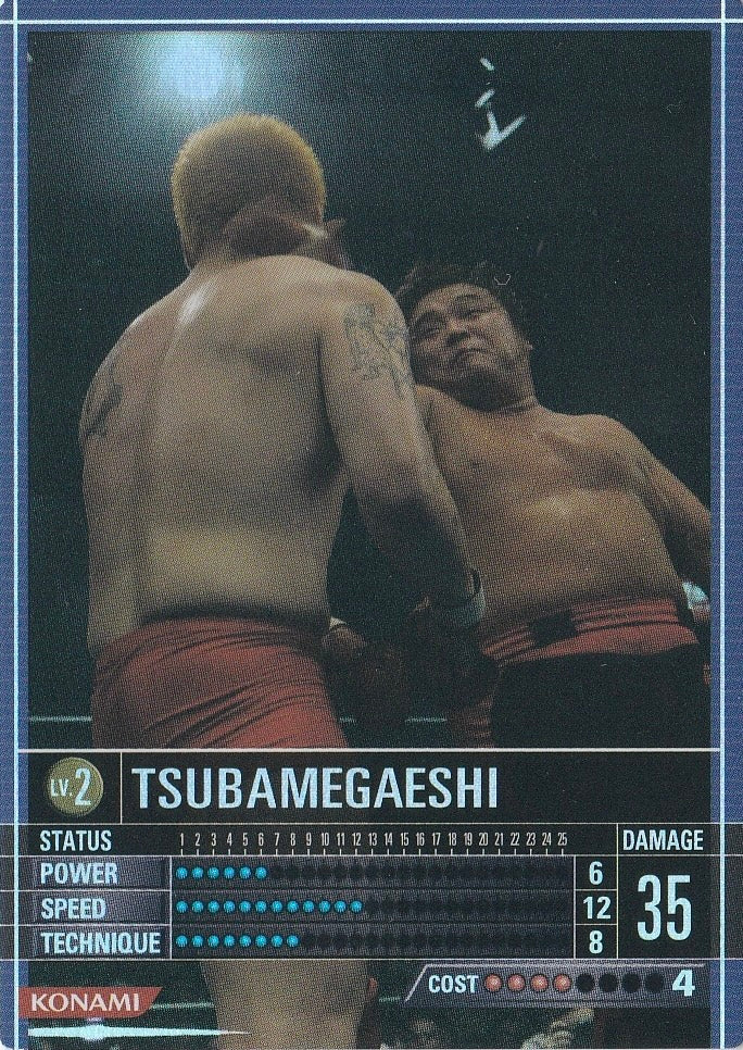 Tsubamegaeshi