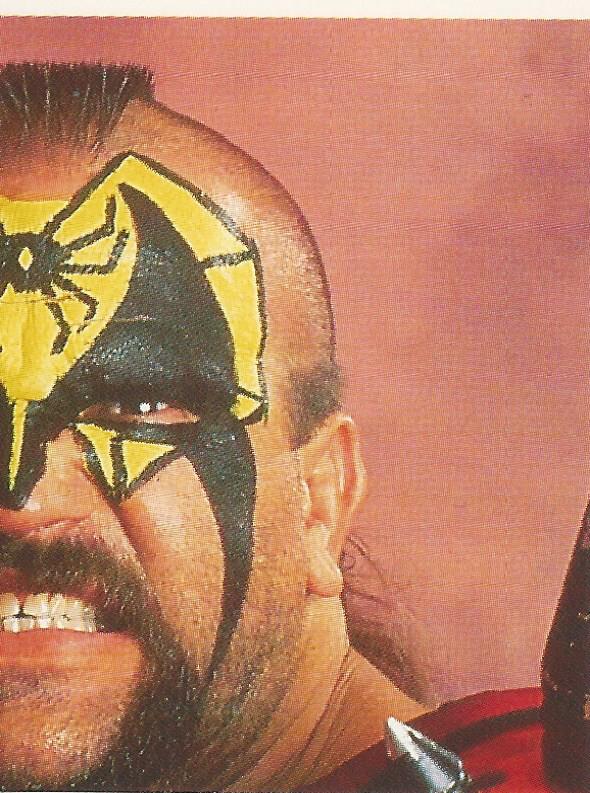 WWF Merlin Stickers 1991 Legion of Doom #352