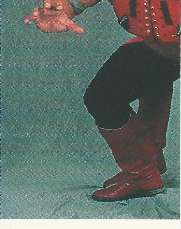 WWF Merlin Stickers 1991 Legion of Doom #358