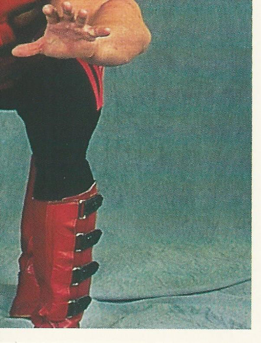 WWF Merlin Stickers 1991 Legion of Doom #359