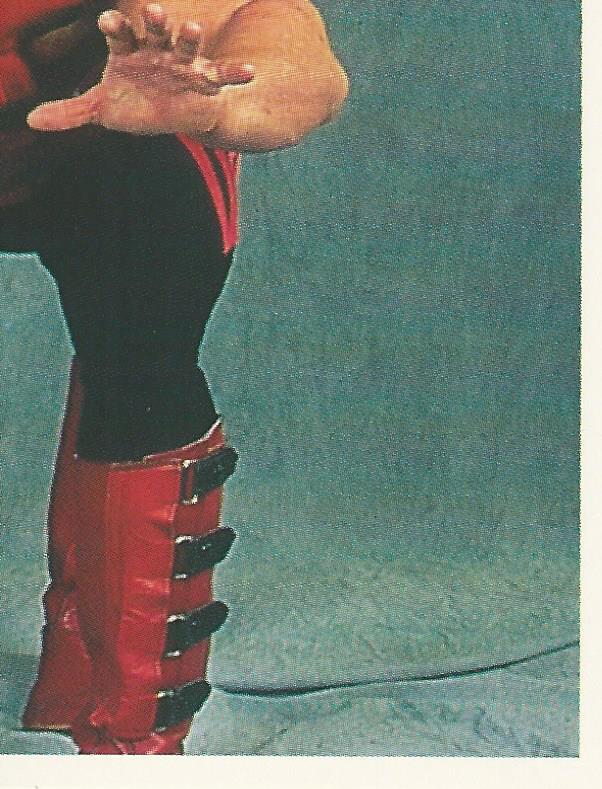 WWF Merlin Stickers 1991 Legion of Doom #359