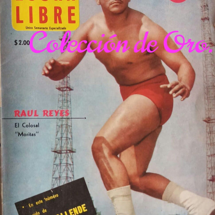 Lucha Libre Volume 35 Magazine PWcatalog
