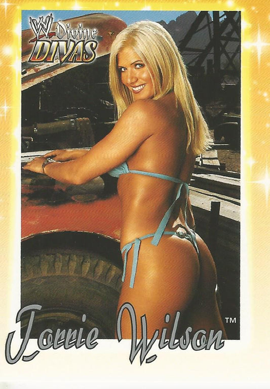 WWE Fleer Divine Divas 2003 Torrie Wilson #35