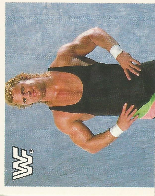 WWF Merlin Sticker Collection 1990 Mr Perfect #35