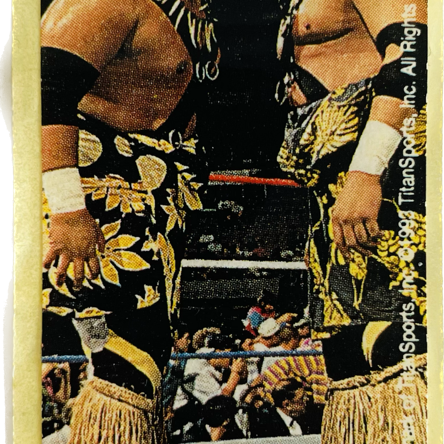 WWF Dunkin Bubble Gum Stickers (1993) No. 35 Headshrinkers PW Catalog