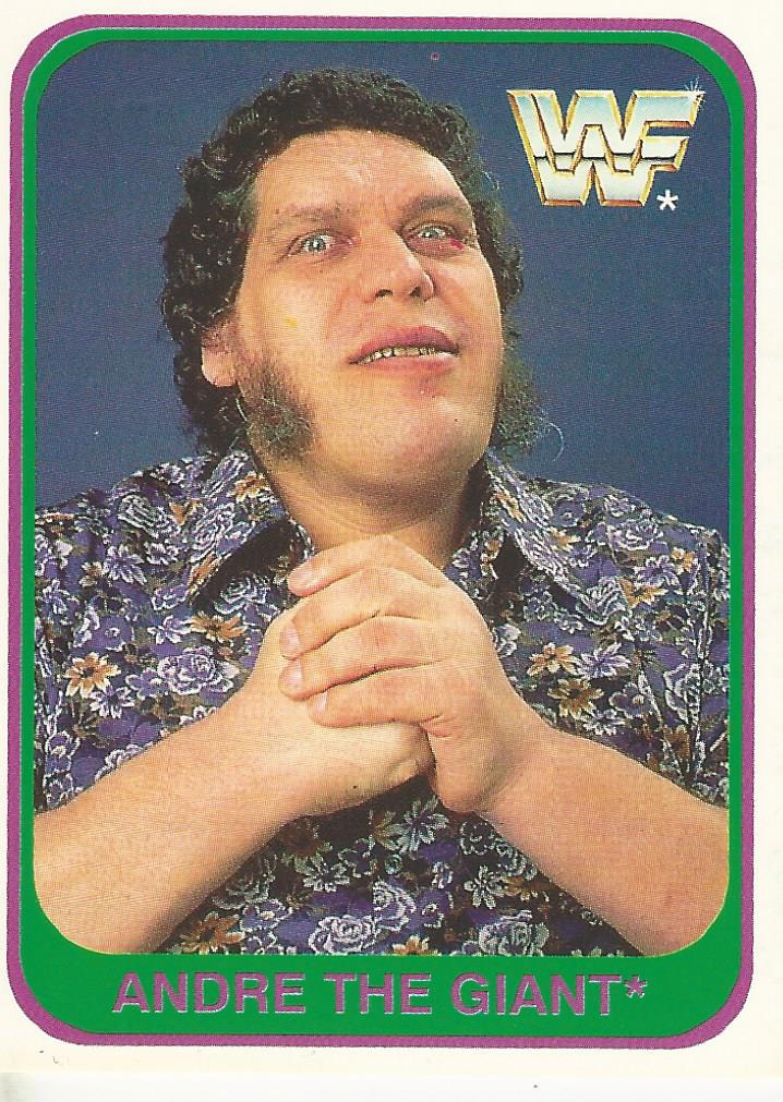 WWF Merlin 1991 Andre the Giant #35