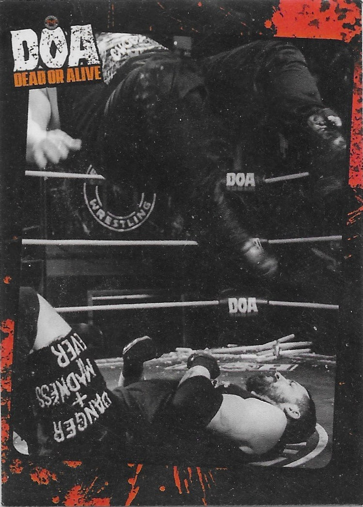 DOA Dead or Alive Ring Action trading card PW Catalog
