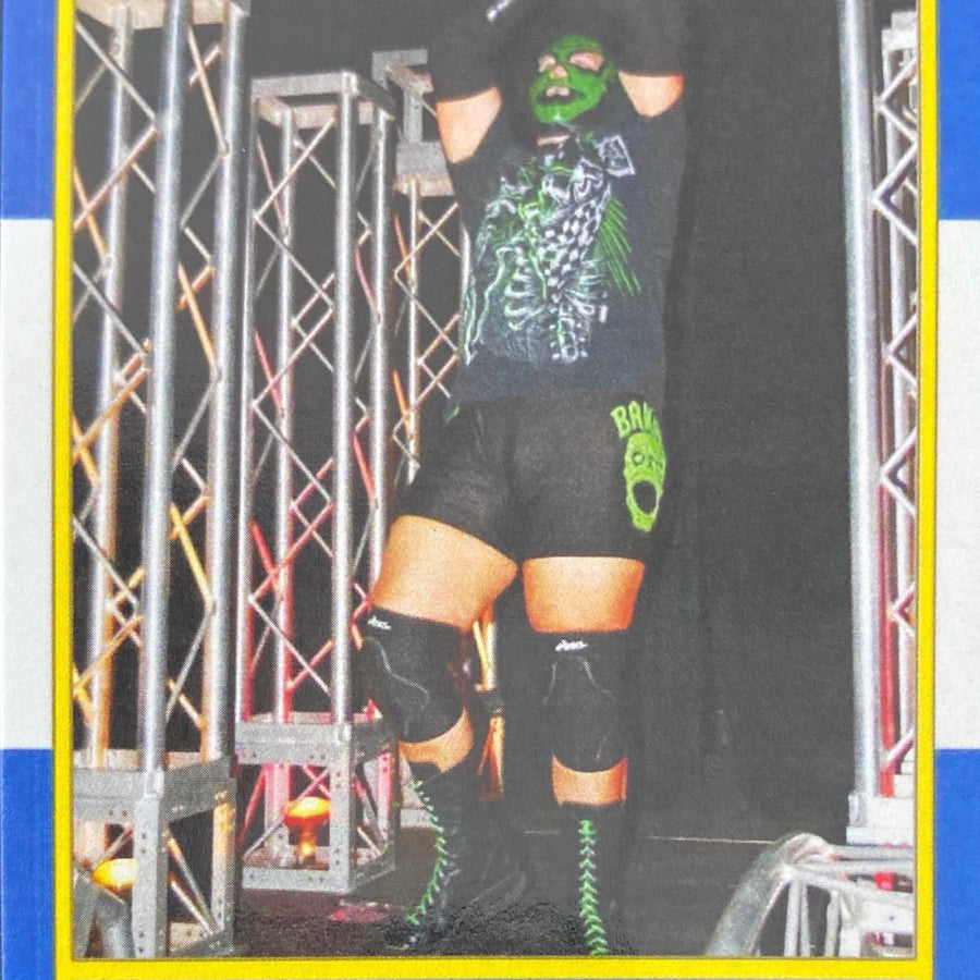Street Bandit trading card PW Catalog