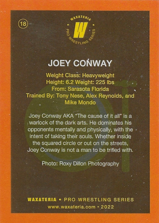 Joey Conway - image 2