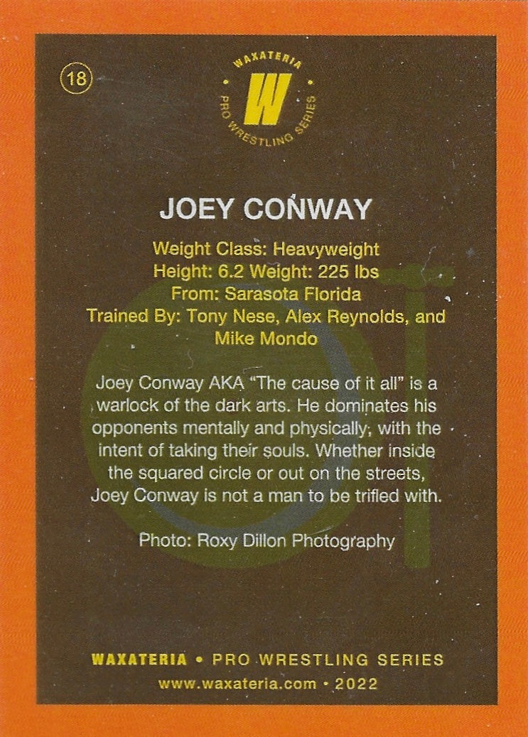 Joey Conway - image 2