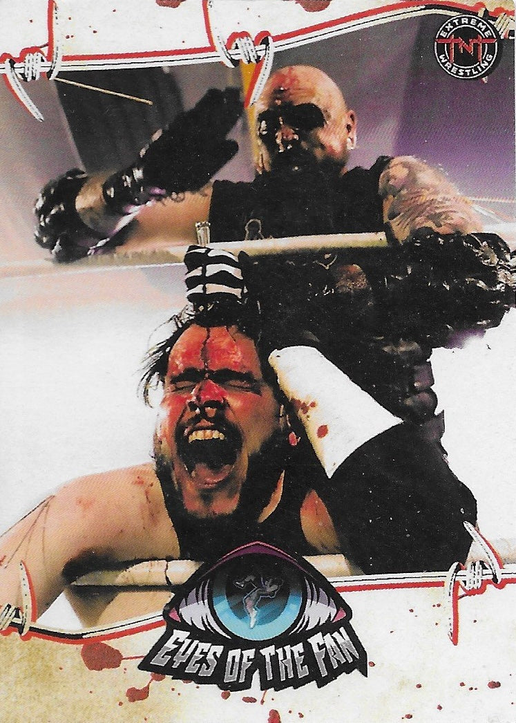 Eyes of the Fan trading card PW Catalog