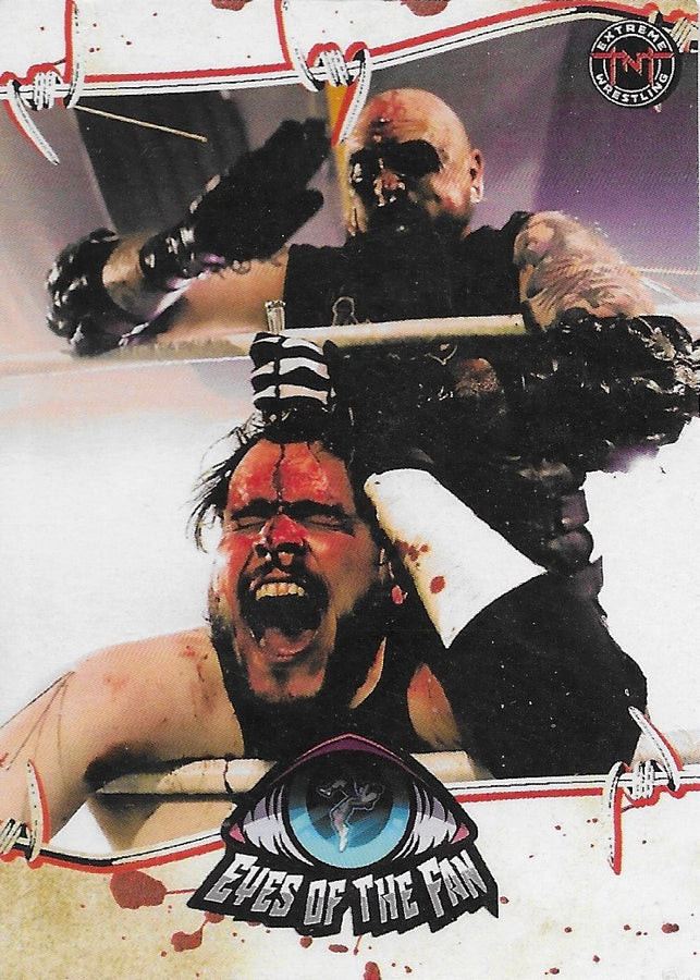 Eyes of the Fan trading card PW Catalog