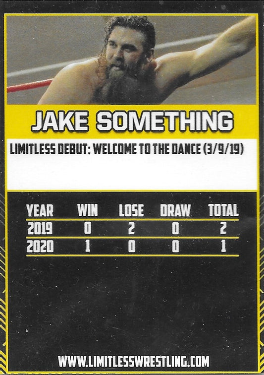 Jake Something - image 2