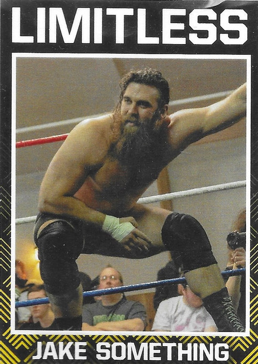 Jake Something trading card PW Catalog