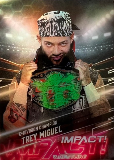 Trey Miguel – X-Division Champion trading card PW Catalog