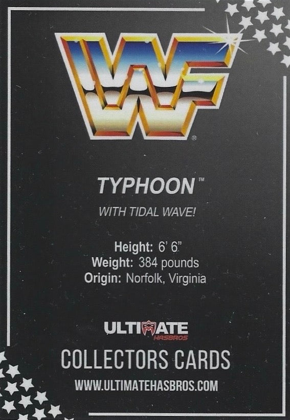 Typhoon trading card PW Catalog