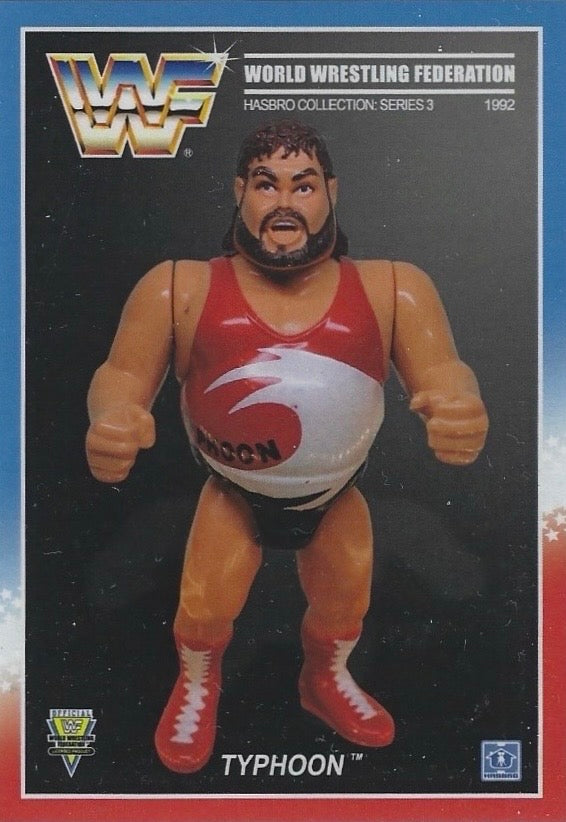 Typhoon trading card PW Catalog