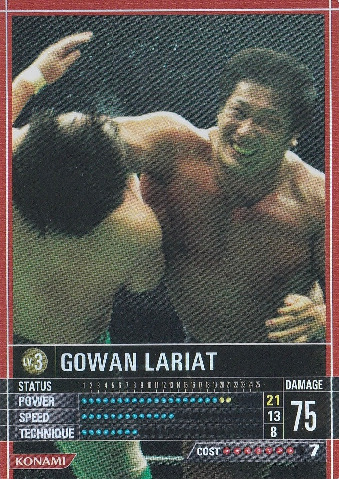 Gowan Lariat