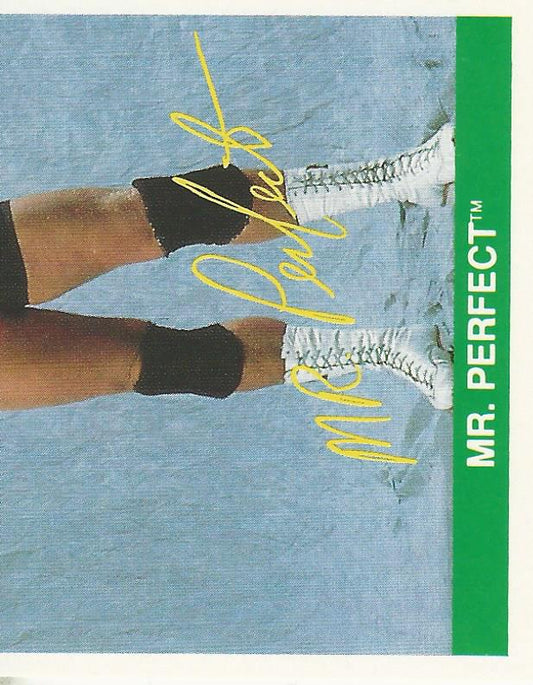 WWF Merlin Sticker Collection 1990 Mr Perfect #36