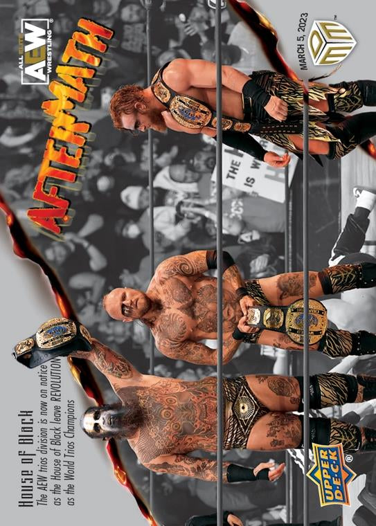 AEW PPV Aftermath – House of Black trading card PW Catalog