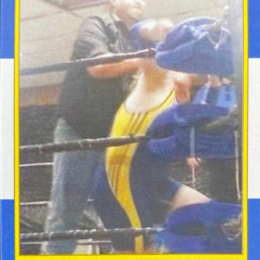 Ryker vs. Brackin trading card PW Catalog
