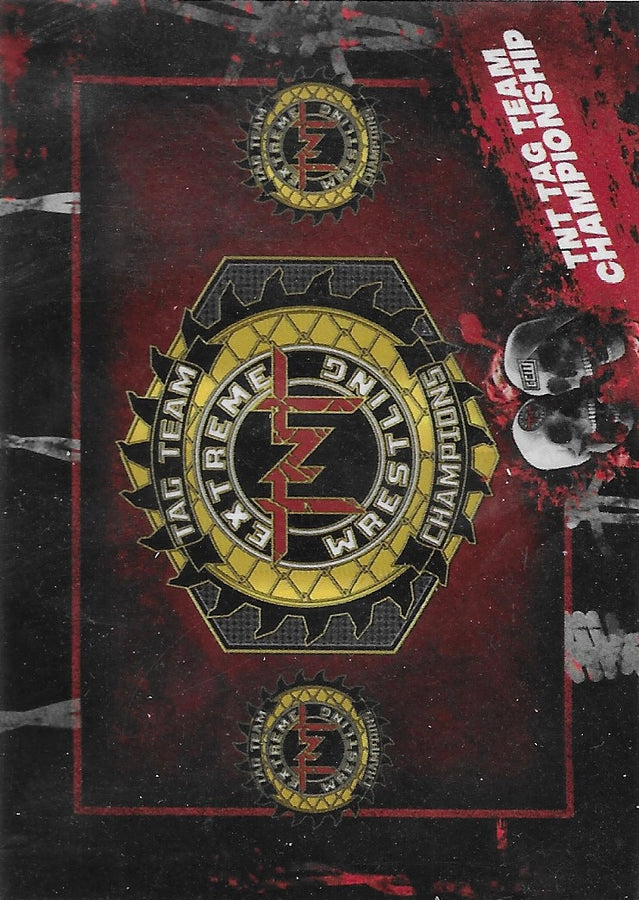 TNT TAG Team Championship trading card PW Catalog