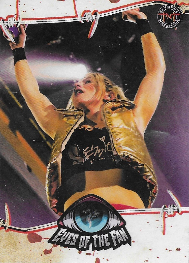 Eyes of the Fan trading card PW Catalog