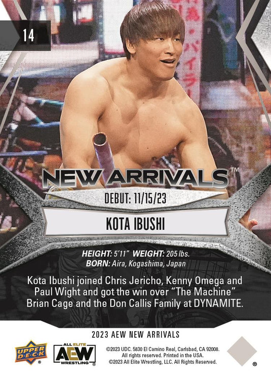 Kota Ibushi
