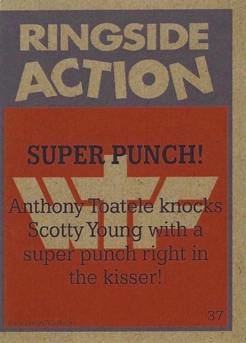 Ringside Action – Super Punch! trading card PW Catalog