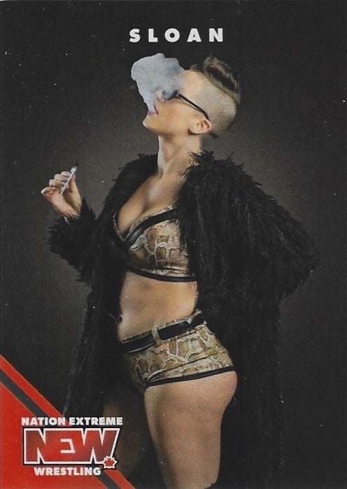 Sloan trading card PW Catalog