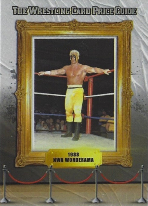 1988 NWA Wonderama – Sting